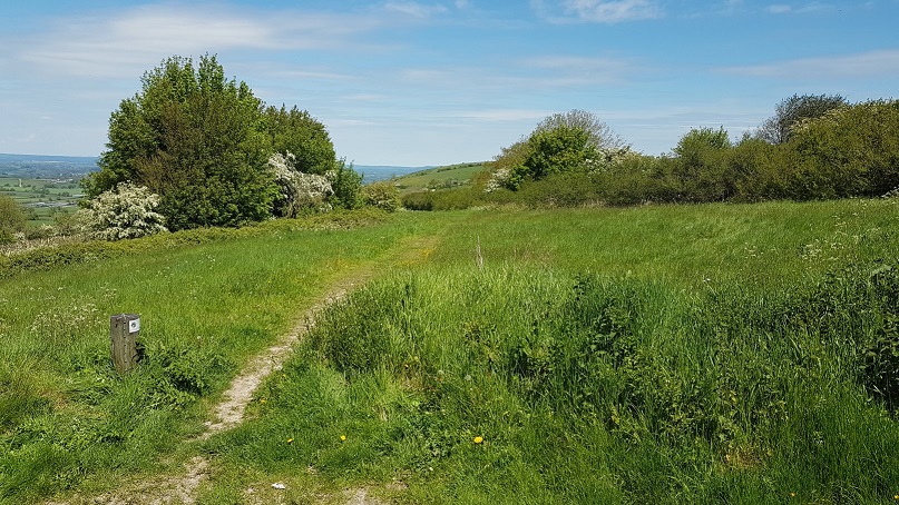 Ibberton Hill north landing area