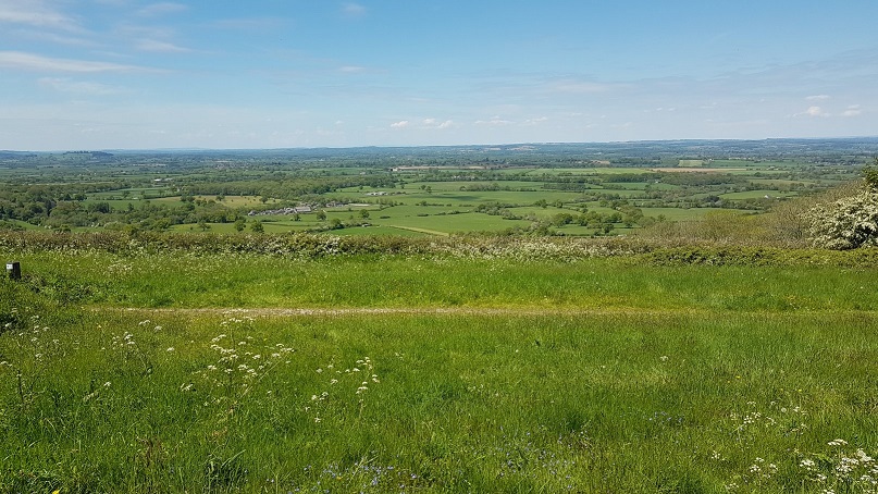 Ibberton Hill slopeside view