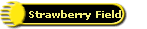 Strawberry Field