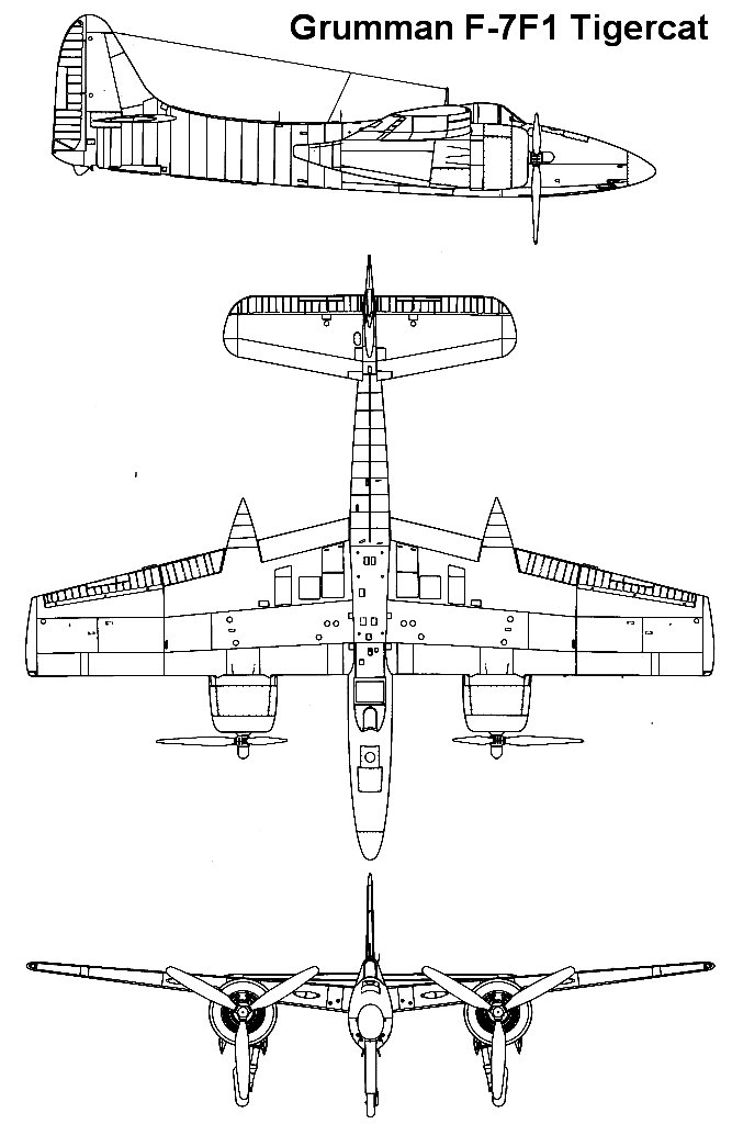 tigercat_1_3v