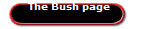 The Bush page