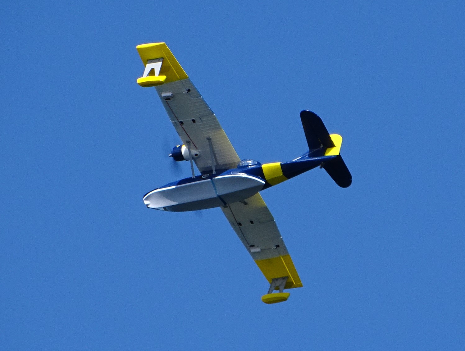 DSC02987 DSC02987