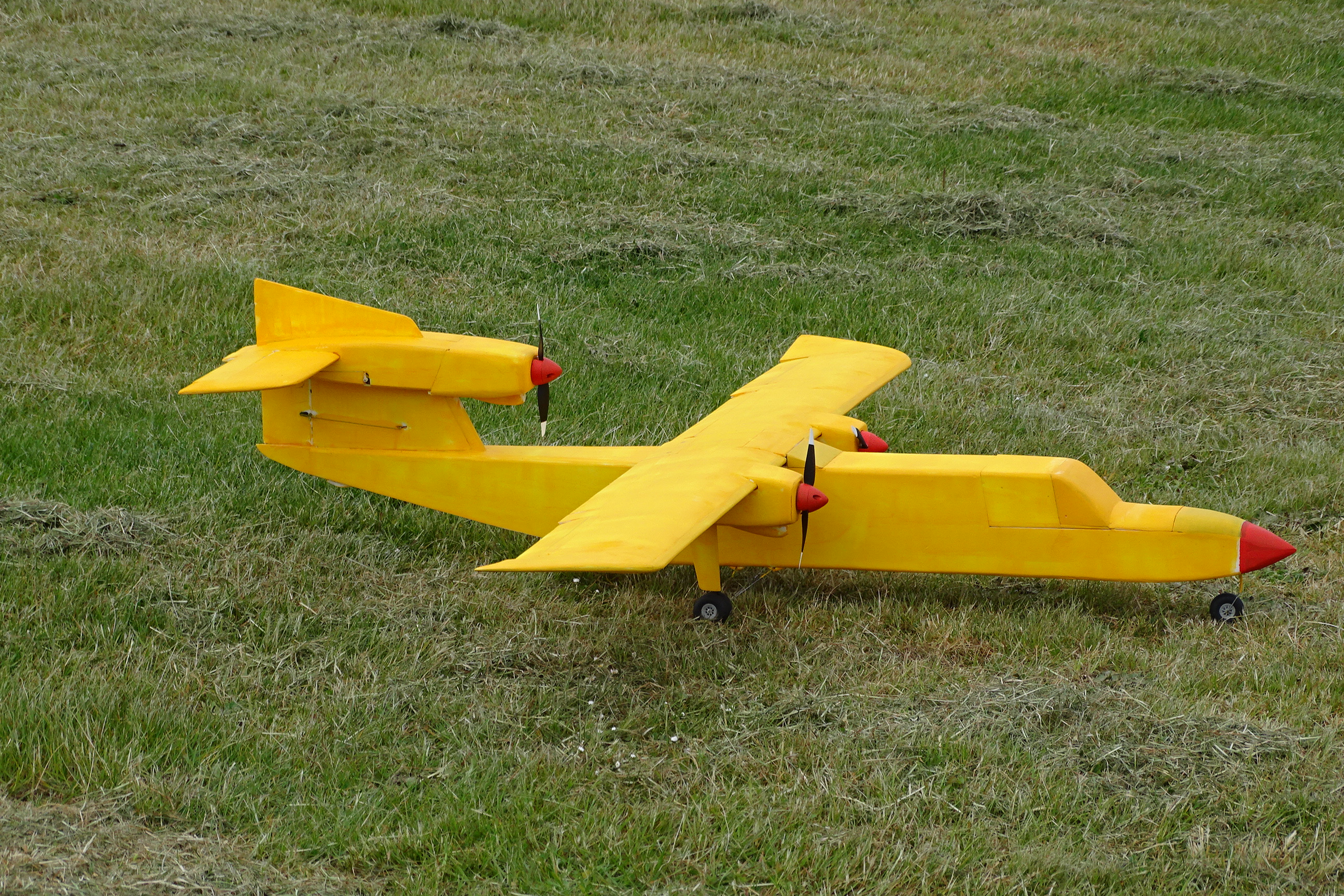 DSC04191 DSC04191
