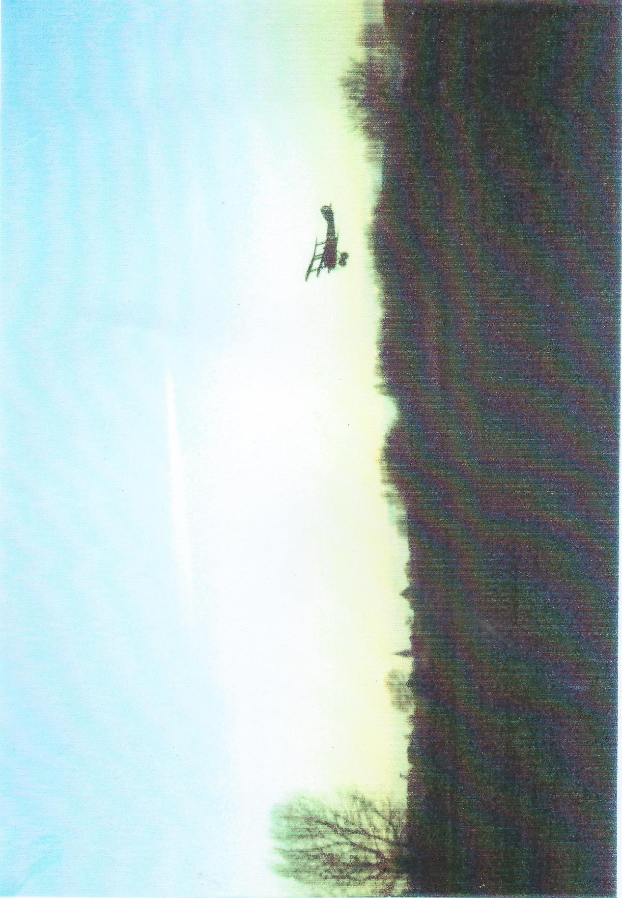 Evening flight at Stanpit