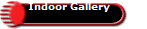 Indoor Gallery