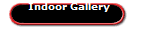 Indoor Gallery
