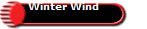Winter Wind