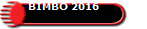 BIMBO 2016