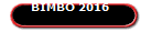 BIMBO 2016