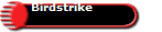 Birdstrike
