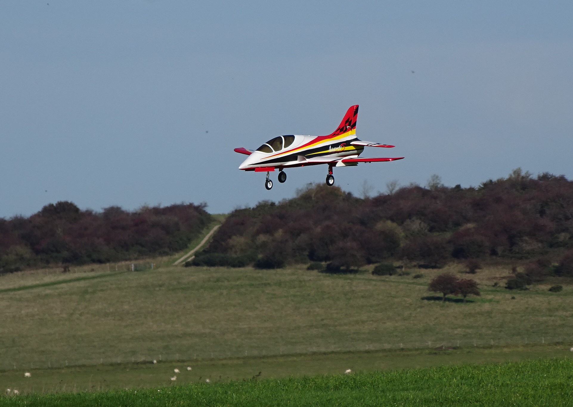 DSC03901 DSC03901