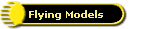Flying Models