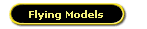 Flying Models