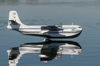 Models-2708