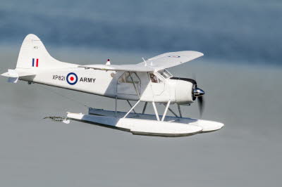 Models-2811