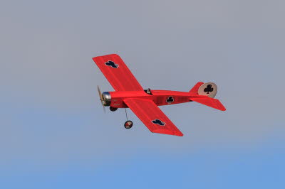 Models-3163