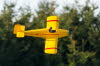 Models-5923